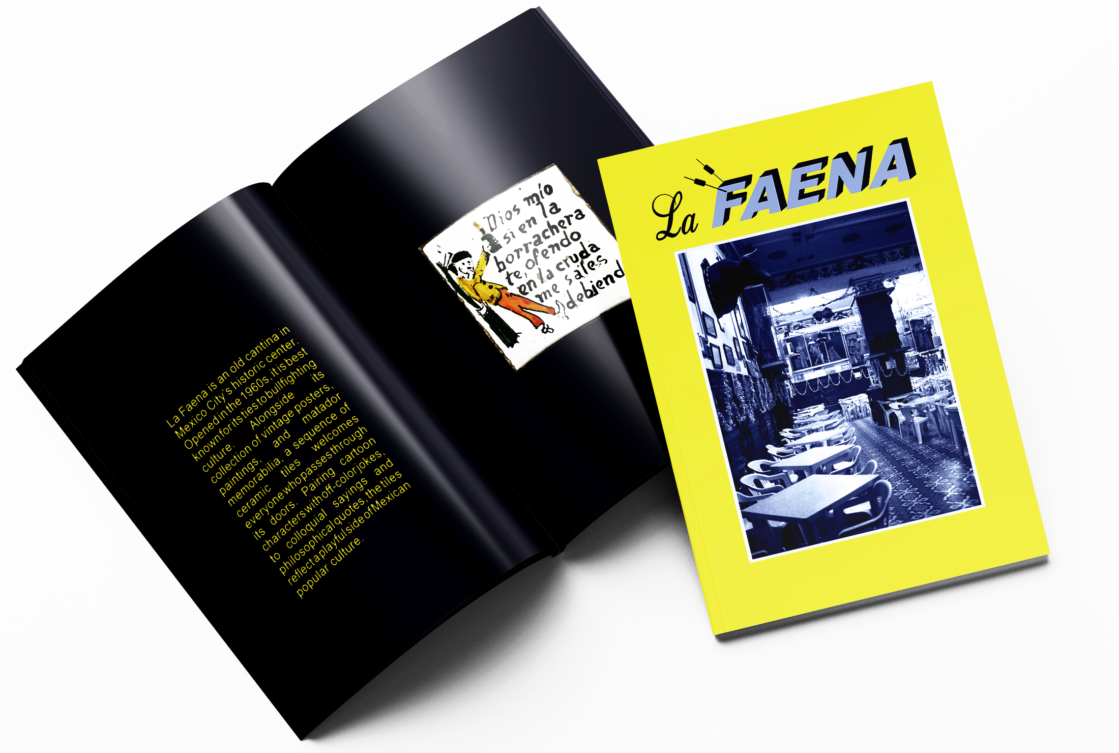 LA_FAENA_1trim.jpg